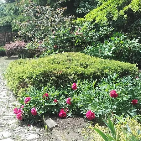 Garten Vendeghaz エゲル