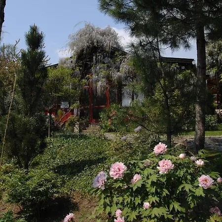 Garten Vendeghaz Eğri