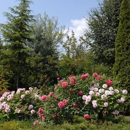 Garten Vendeghaz ゲストハウス *