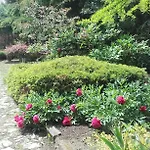 Garten Vendeghaz Eğri
