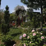 Garten Vendeghaz Eğri