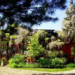 Garten Vendeghaz