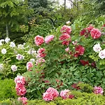 Garten Vendeghaz Konukevi