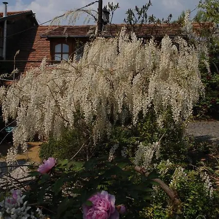 ゲストハウス Garten Vendeghaz 3*