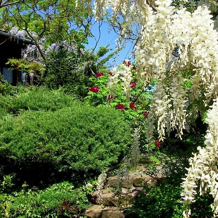 게스트하우스 Garten Vendeghaz
