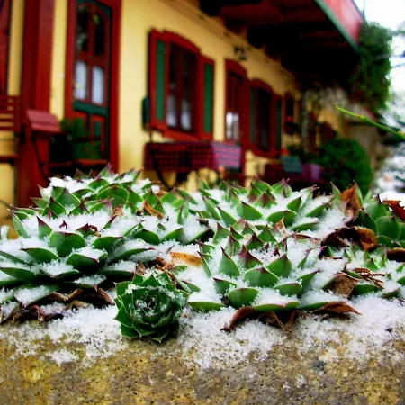 Casa de hóspedes Garten 3*