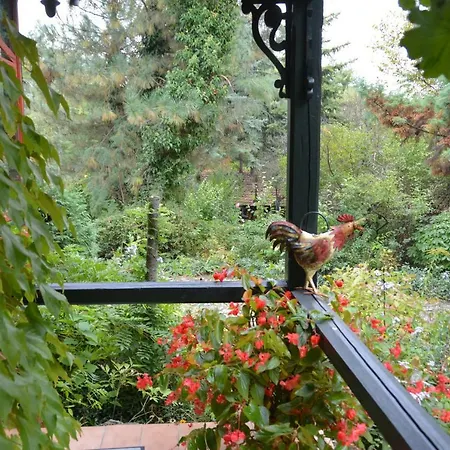 Garten Vendeghaz Penzion