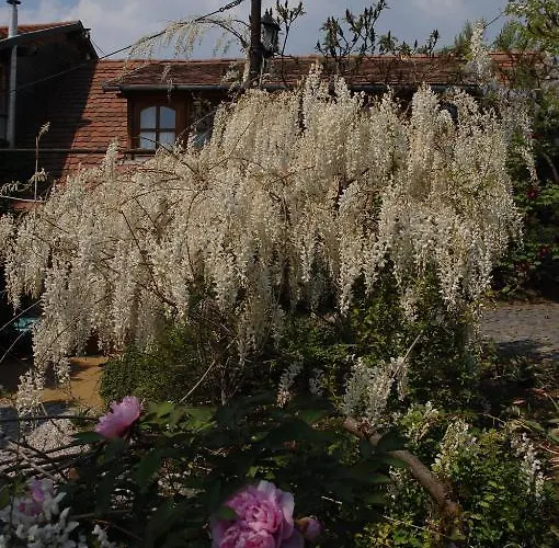 Vendégház Garten 3*