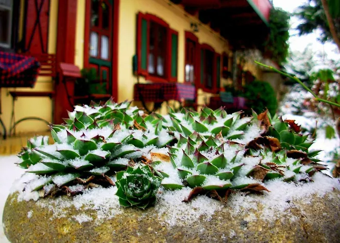 Vendégház Garten 3*